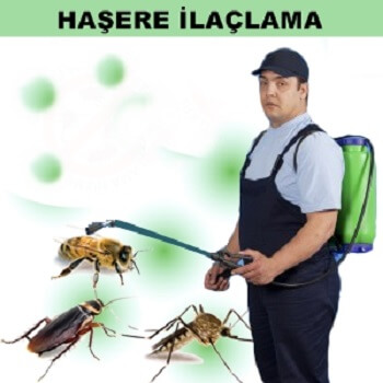 Adana Böcek İlaçlama